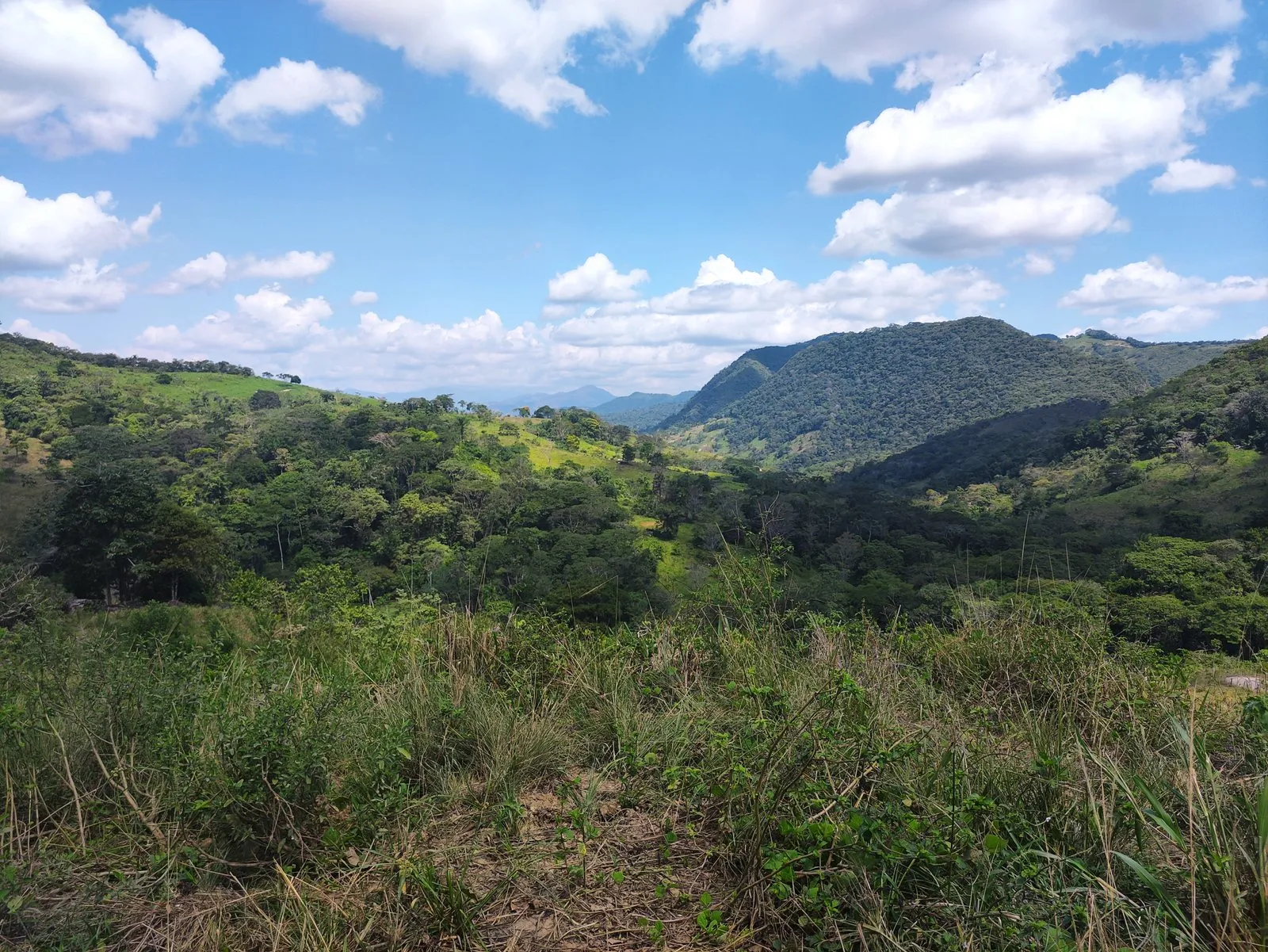 Amanecer sobre los llanos orientales