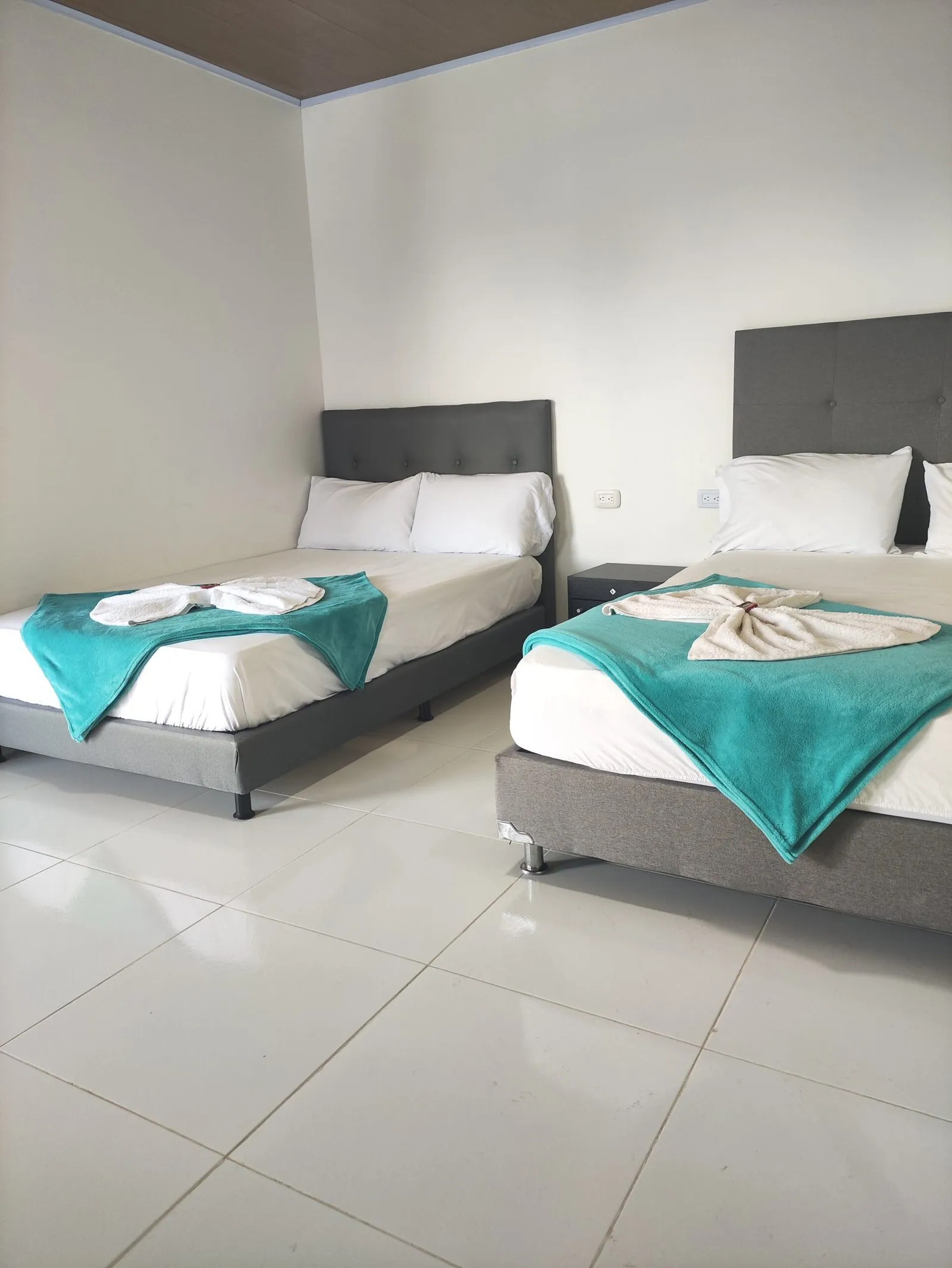 Habitacion iluminada con vista al jardin