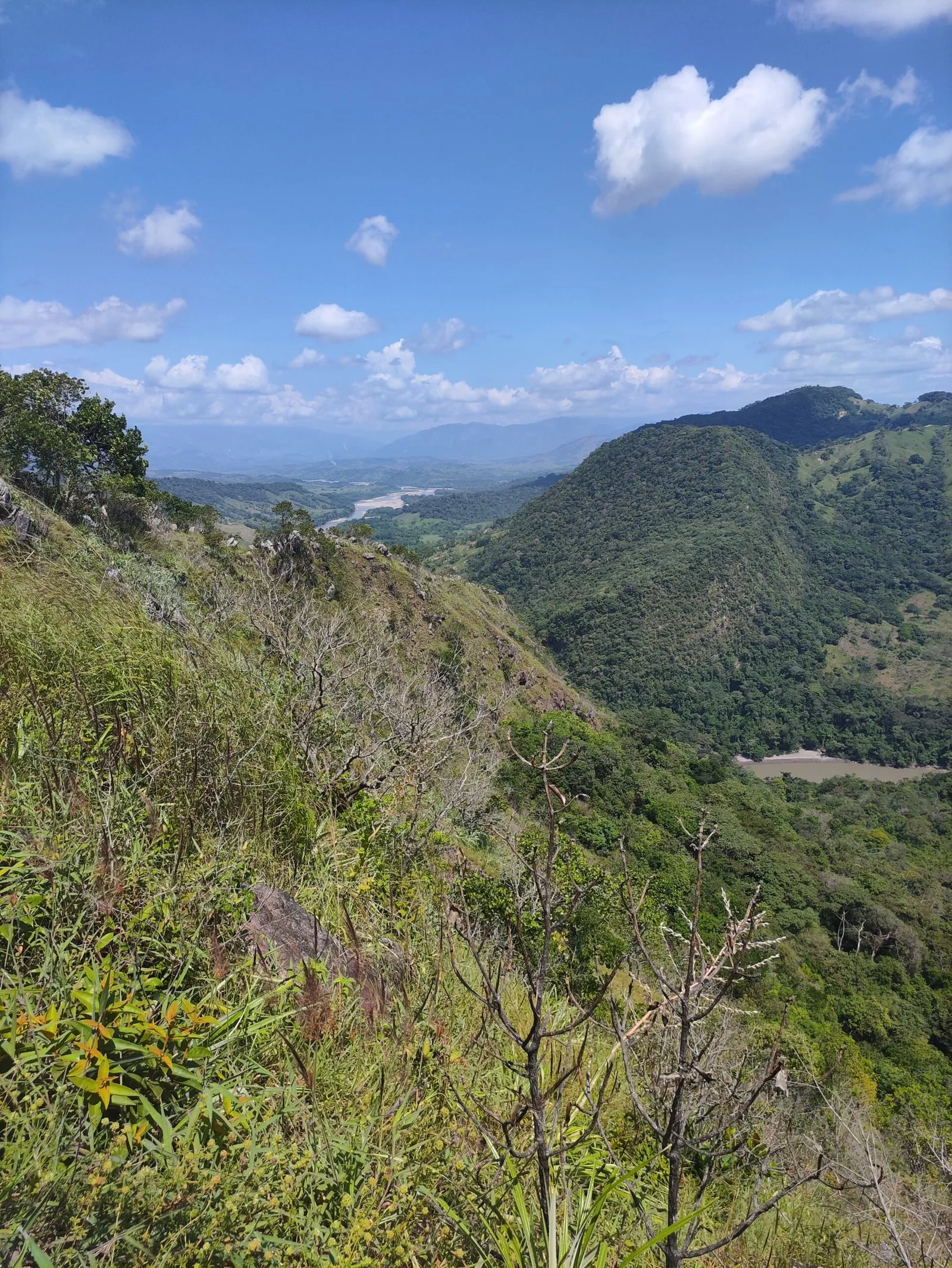Piscina del Hotel Salamanca